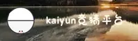 如何找到kaiyun小组赛竞猜网址？官方正版入口一键直达